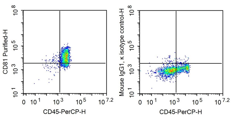 Anti-Target Of The Antiproliferative Antibody 1 (TAPA1) Monoclonal Antibody