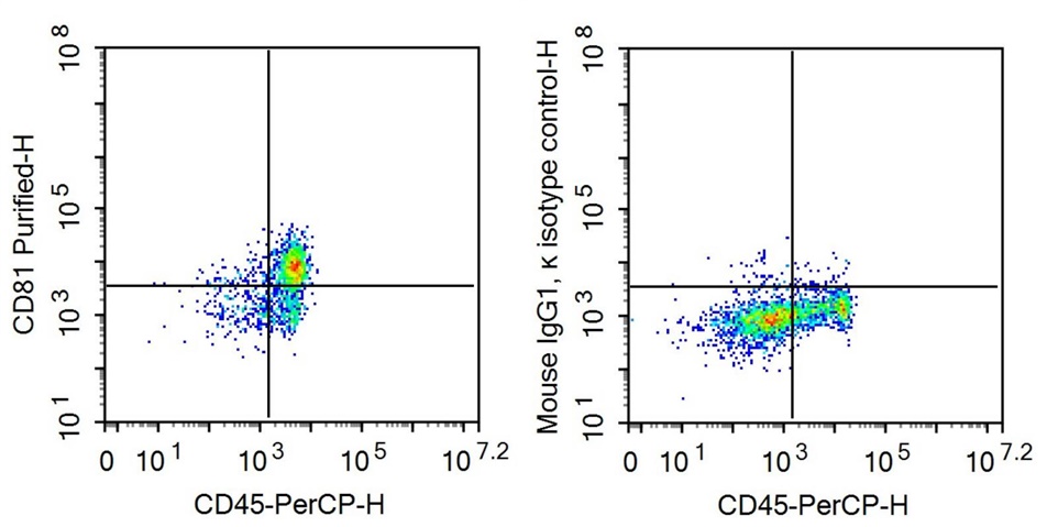 Anti-Target Of The Antiproliferative Antibody 1 (TAPA1) Monoclonal Antibody