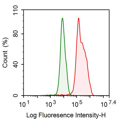 Anti-VGF Nerve Growth Factor Inducible (VGF) Monoclonal Antibody