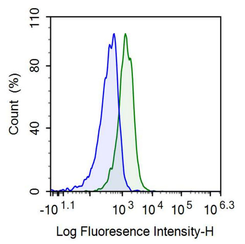 Anti-Cluster Of Differentiation 4 (CD4) Polyclonal Antibody