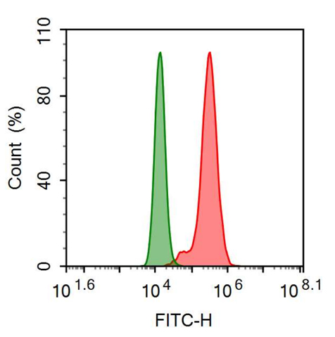 FITC-Linked Anti-Transferrin Receptor (TFR) Monoclonal Antibody