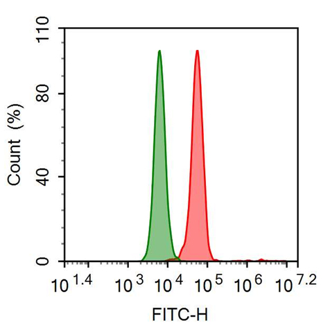FITC-Linked Anti-Transferrin Receptor (TFR) Monoclonal Antibody