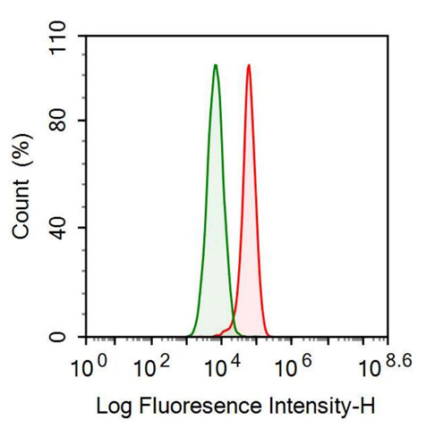 Anti-Clusterin (CLU) Monoclonal Antibody