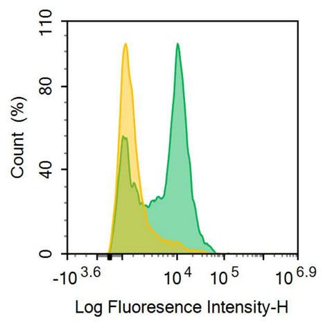 FITC-Linked Anti-C-Type Lectin Domain Family 2, Member C (CLEC2C) Polyclonal Antibody