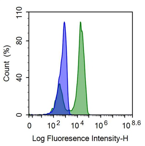 FITC-Linked Anti-Cluster Of Differentiation 56 (CD56) Monoclonal Antibody