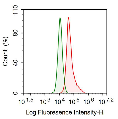 Anti-Plasminogen (Plg) Polyclonal Antibody