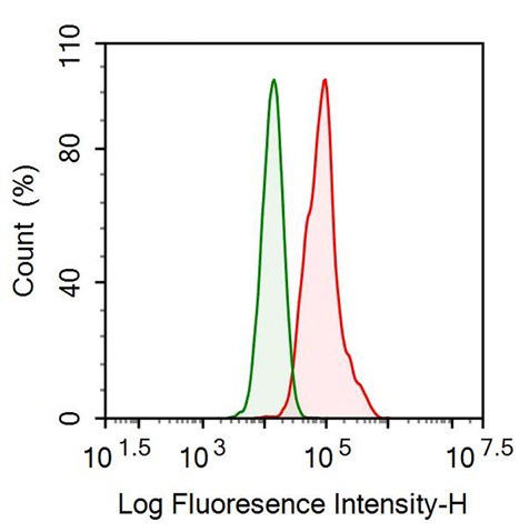 Anti-Plasminogen (Plg) Monoclonal Antibody