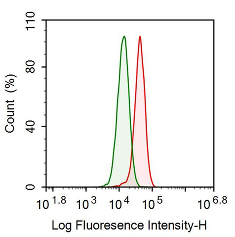 Anti-Plasminogen (Plg) Monoclonal Antibody