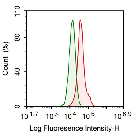 Anti-Plasminogen (Plg) Monoclonal Antibody