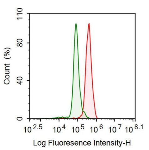 Anti-ATP Dependent DNA ligase I (LIG1) Polyclonal Antibody