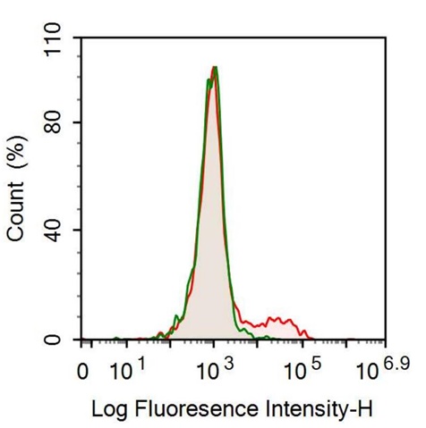 Anti-Cluster of Differentiation 79B (CD79B) Monoclonal Antibody