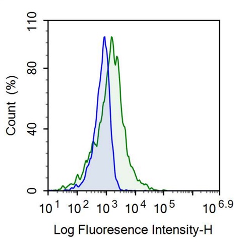 Anti-Cluster of Differentiation 90 (CD90) Monoclonal Antibody