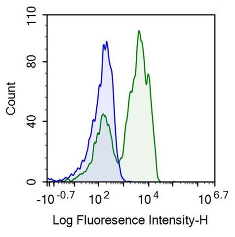 Anti-Cluster Of Differentiation 2 (CD2) Polyclonal Antibody