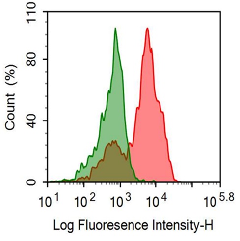 PE-Linked Anti-Cluster Of Differentiation 2 (CD2) Polyclonal Antibody