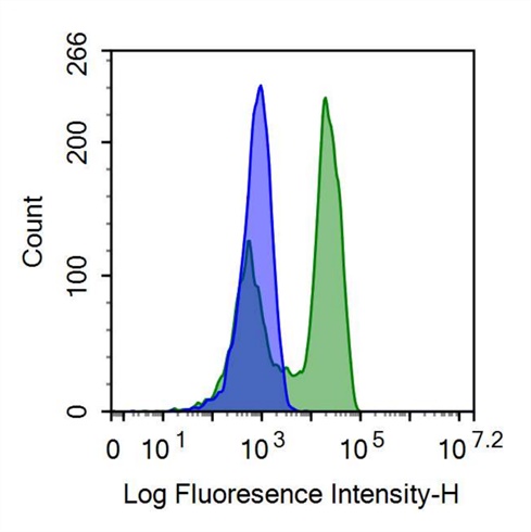 FITC-Linked Anti-Cluster Of Differentiation 2 (CD2) Polyclonal Antibody