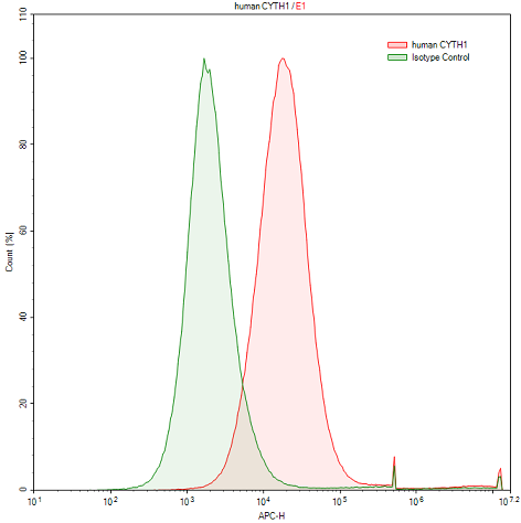 Anti-Cytohesin 1 (CYTH1) Polyclonal Antibody