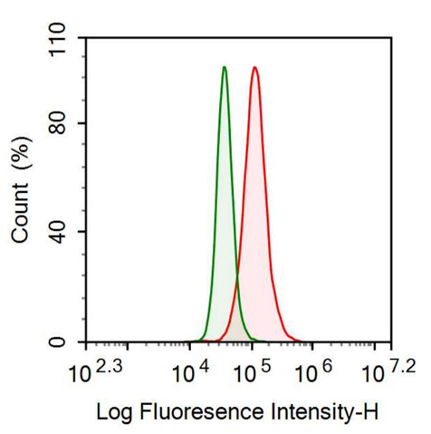 Anti-Surfactant Protein C (SP-C) Polyclonal Antibody