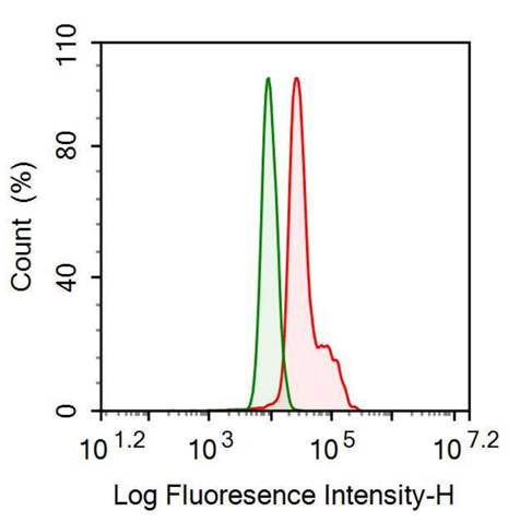Anti-Cytosolic Phospholipase A2 (PLA2G4) Monoclonal Antibody