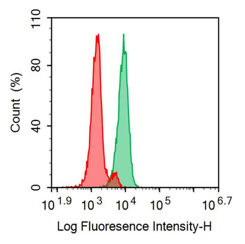 FITC-Linked Anti-Neprilysin (CD10) Monoclonal Antibody