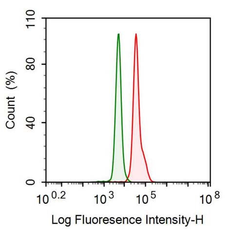 Anti-S100 Calcium Binding Protein A8 (S100A8) Monoclonal Antibody