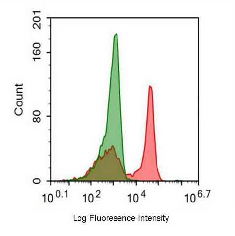 FITC-Linked Anti-Cluster Of Differentiation 5 (CD5) Monoclonal Antibody