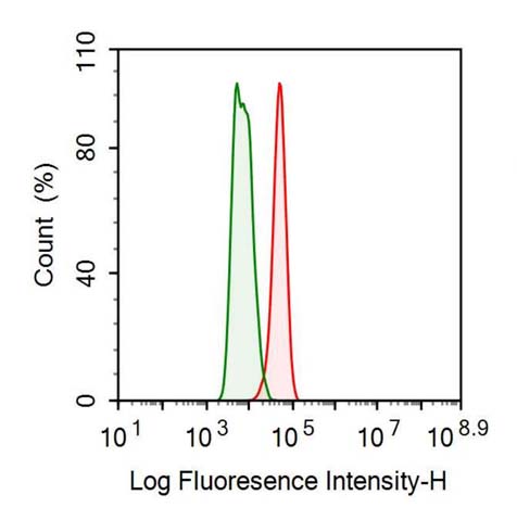 Anti-Ki-67 Protein (Ki-67) Monoclonal Antibody