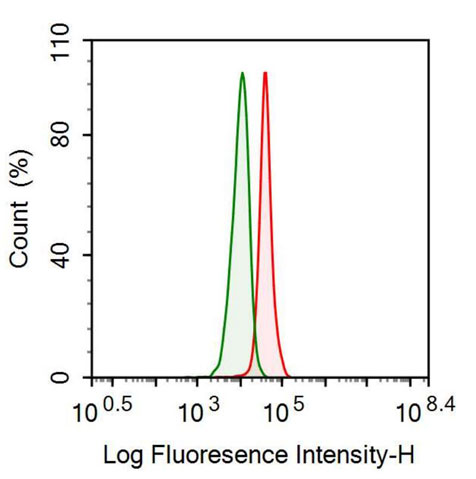 Anti-Antithrombin (AT) Monoclonal Antibody