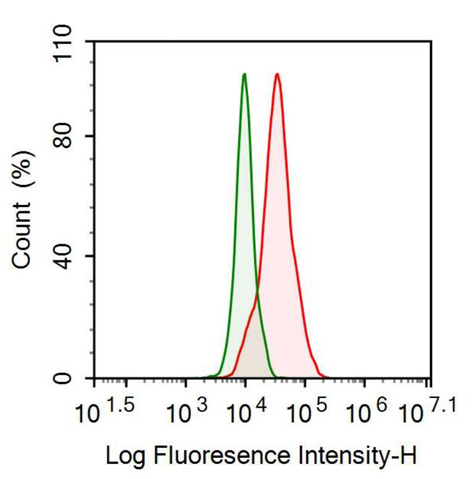 Anti-Fibulin 1 (FBLN1) Monoclonal Antibody