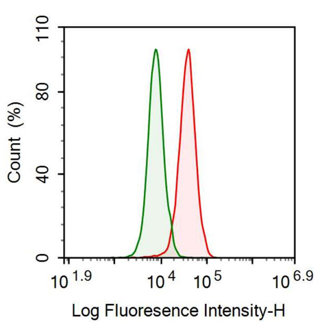 Anti-Optic Atrophy 3 (OPA3) Polyclonal Antibody