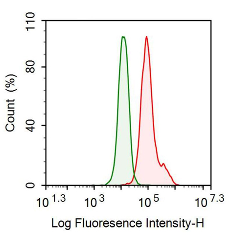 Anti-Sarcolipin (SLN) Monoclonal Antibody