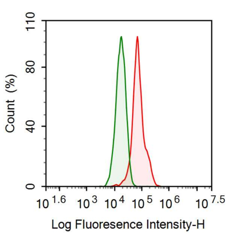 Anti-Fibroblast Growth Factor 21 (FGF21) Monoclonal Antibody