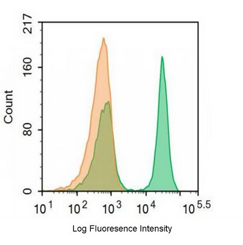 FITC-Linked Anti-T-Cell Surface Glycoprotein CD3 Epsilon (CD3e) Monoclonal Antibody