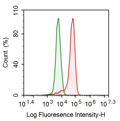 Anti-FK506 Binding Protein 1A (FKBP1A) Monoclonal Antibody