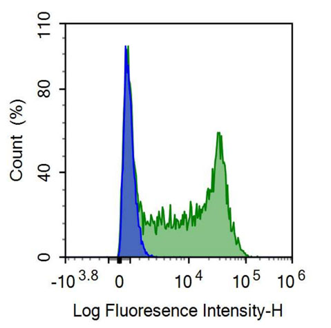 FITC-Linked Anti-Ubiquitin Carboxyl Terminal Hydrolase L1 (UCHL1) Polyclonal Antibody