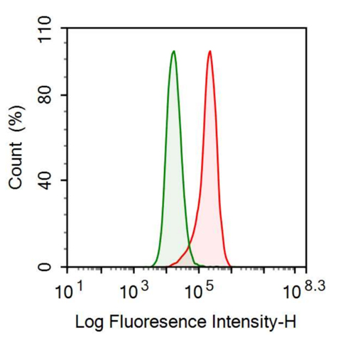 Anti-Angiopoietin Like Protein 8 (ANGPTL8) Monoclonal Antibody