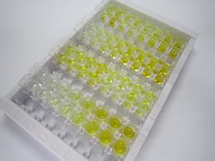 High Sensitive ELISA Kit for Granzyme A (GZMA)