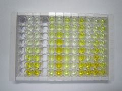 High Sensitive ELISA Kit for High Molecular Weight Kininogen (HMWK)