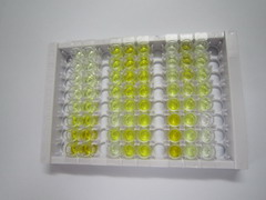 High Sensitive ELISA Kit for Tau Protein (MAPT)