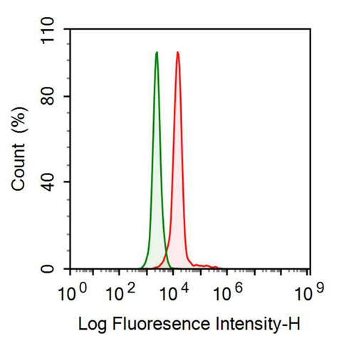 Monoclonal Antibody to Nestin (NES)