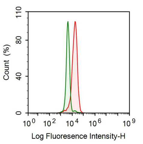 Monoclonal Antibody to Nestin (NES)