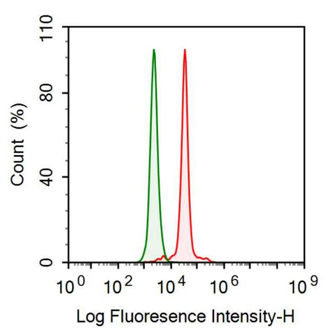 Monoclonal Antibody to Nestin (NES)