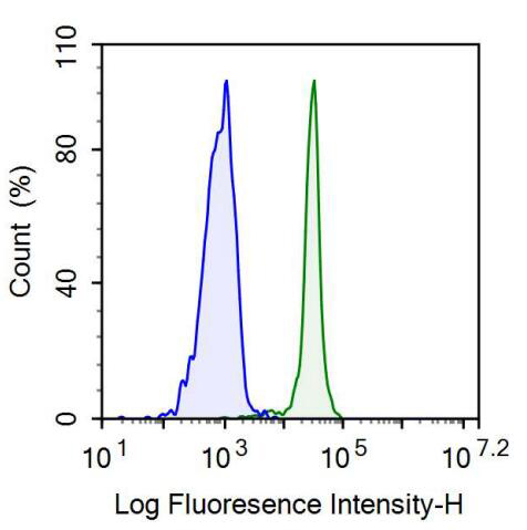 Monoclonal Antibody to Homing Associated Cell Adhesion Molecule (HCAM)