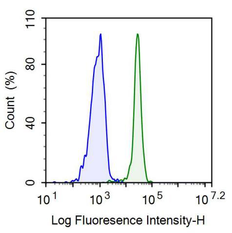 Monoclonal Antibody to Homing Associated Cell Adhesion Molecule (HCAM)