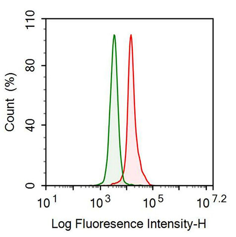 Monoclonal Antibody to Leucine Rich Alpha-2-Glycoprotein 1 (LRG1)