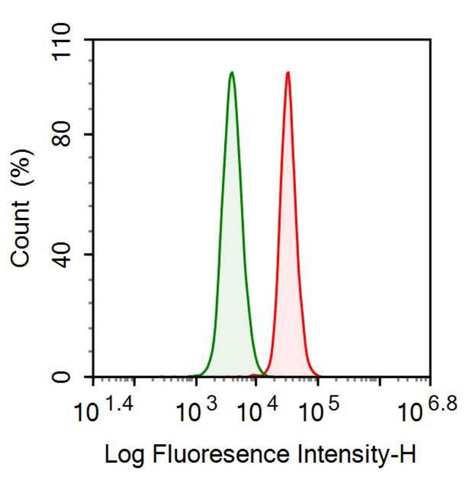Polyclonal Antibody to Interferon Alpha (IFNa)