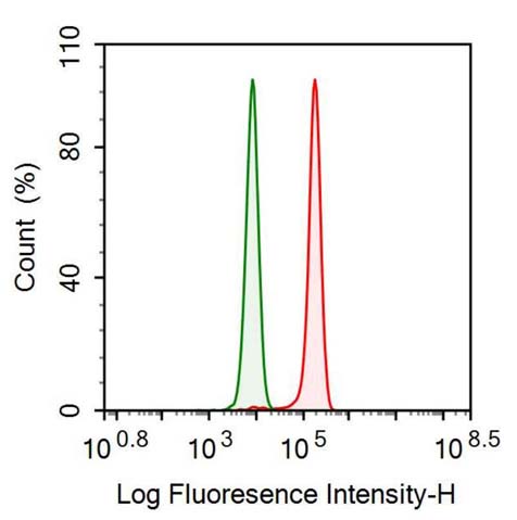 Polyclonal Antibody to Thioredoxin (Trx)