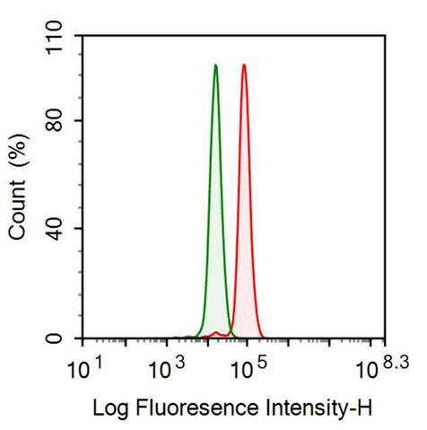 Polyclonal Antibody to Prostaglandin-H2 D-isomerase (PTGDS)