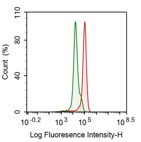 Polyclonal Antibody to Toll Like Receptor 4 (TLR4)