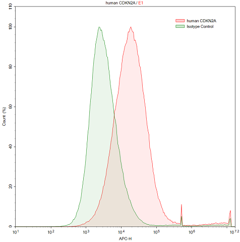 Polyclonal Antibody to Cyclin Dependent Kinase Inhibitor 2A (CDKN2A)