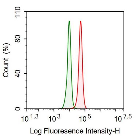 Polyclonal Antibody to Complement Component 3 (C3)